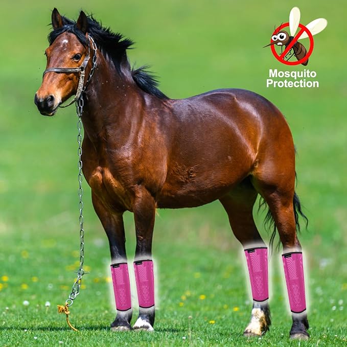 FOXLVDA Fly Boots for Horses Set of 4, Comfortable Horse Leggings, Mesh Material Design with Metal Support Bars for Reduces Stomping & Leg Fatigue (Pink, Medium)
