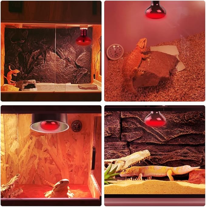 LUCKY HERP Infrared Heat Lamp 75W 2 Pack，Reptile & Amphibian Basking Spot Light Bulbs, Red Heat Lamp Bulbs for Reptiles, Bearded Dragon, Turtle, Lizard, Snake, Chicken