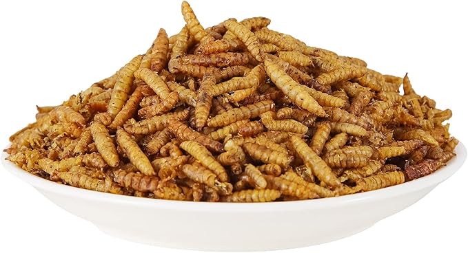 Dried Black Soldier Fly Larvae, 85X More Calcium Than Mealworms High-Protein BSF Larvae Chicken Treats Non-GMO BSFL for Chickens, Hens, Ducks, Wild Birds 5LBS