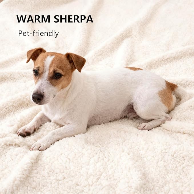 Waterproof Blanket for Couch, Leak Proof Dog Bed Sherpa Throw Blankets Reversible Pet Sofa Furniture Protector Machine Washable-60 x80,Darkgrey