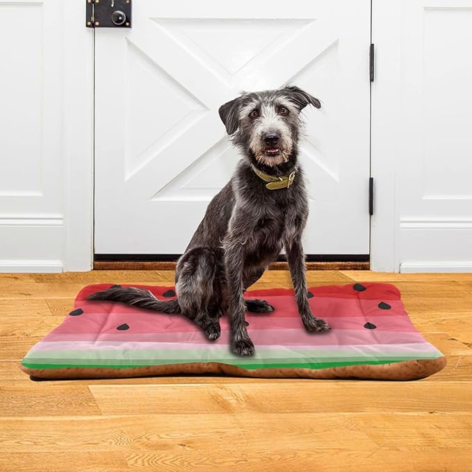 Watermelon Fruits Pet Bed Cute Dog Bed Mat Absorbing Non Slip Pad Pet Sleeping Mat for Small, Medium, and Large Dogs Puppy Cat 24 in x 18 in