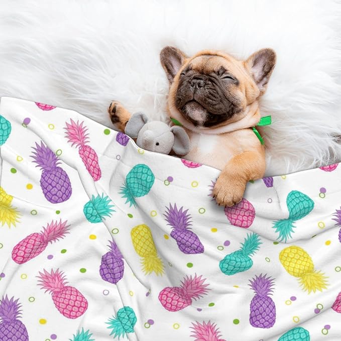 Reversible Plush Throw for Dogs and Cats, Colorful Tropical Summer Pineapple Print, Double Sided Blanket with Nubby Dot Side and Sleek Side Ideal for Cuddling Nesting Security
