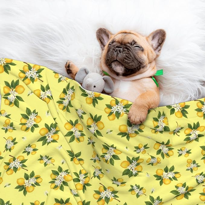 Reversible Pet Blanket for Easy Cleaning Maintenance, Buds Ripe Fruits Lemons Flowers White, Double Sided Plush Dot Design Means Double Use Between Washes for Convenience