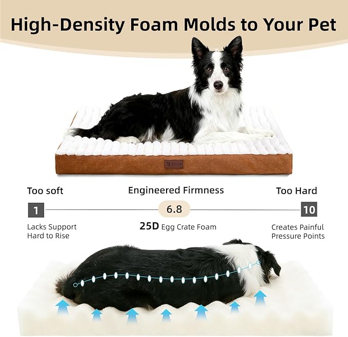 Orthopedic Dog Bed with Firm High-Density Egg Crate Foam,Soft Short Plush Surface Pet Beds,Machine Washable with Removable Cover & Non-Slip Bottom for Medium Breeds (Brown, 29" L x 18" W x 3" H)