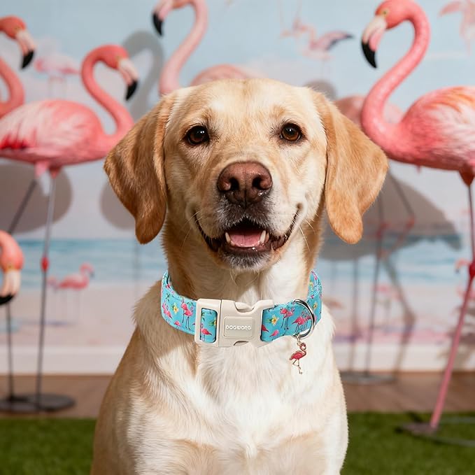 DOGWONG Spring Summer Dog Collar-Cute Flamingo Dog Collar, Adjustable Soft Beach Hawaiian Dogs Collars for Large Dogs, XL