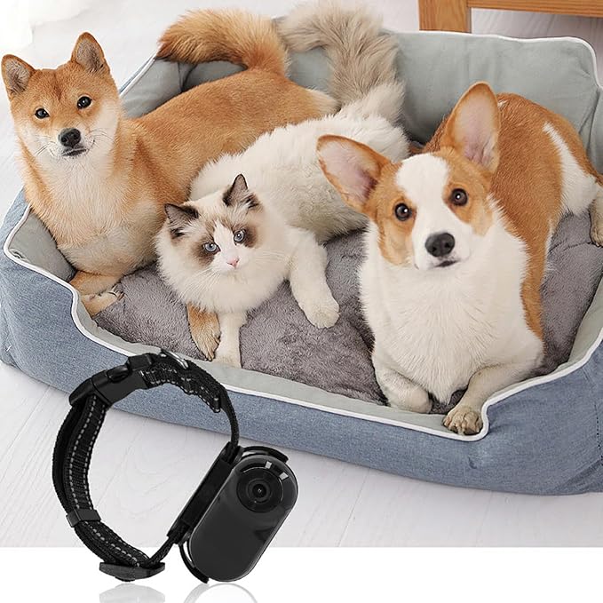 ASHATA Pet Collar Camera, HD 1080P Cat Camera Collar with Video Record (Black)