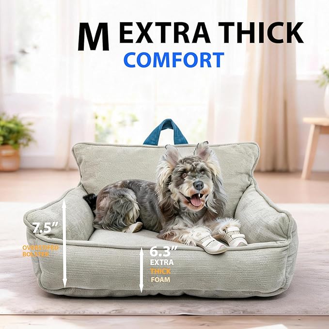 Washable Dog Bed,Memory Foam Dog Bed,Medium Size Dog Bed with Cover,Waterproof,M(23.5"x15.5"x13.5")