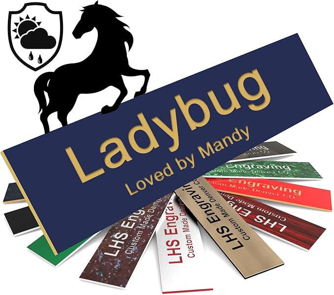 Personalized Horse Stall Name Plates, 2x8 Horse Stall Signs with Adhesive, All Weather UV Protected, Navy Blue Plastic with Gold Letters - Made in USA - B10
