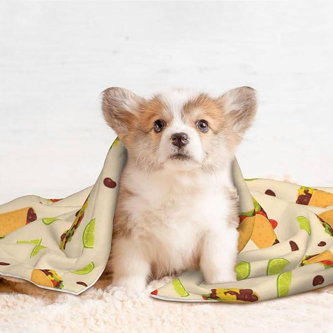 Double Sided Plush Pet Blanket with Cozy Dot Texture and Smooth Reverse, Mexican Taco, Reversible Throw for Dogs Cats on Couches Beds Crates