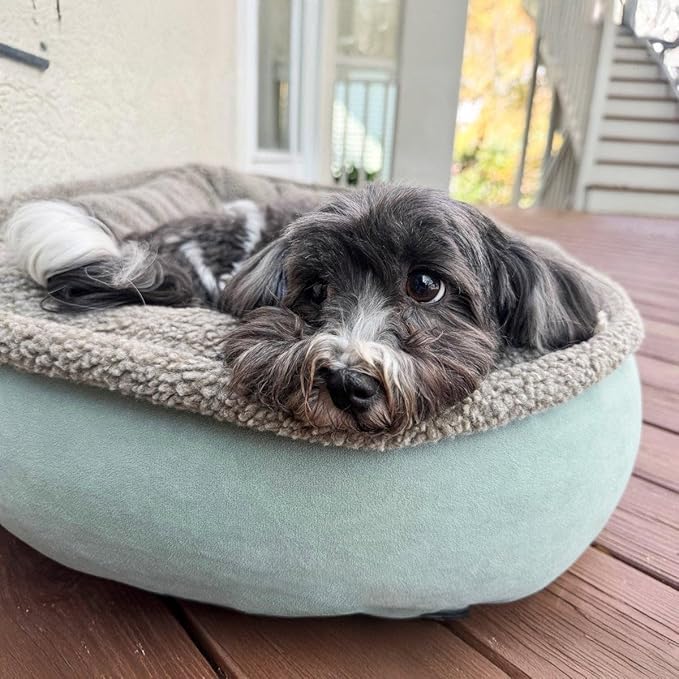 CAROLINA PET COMPANY Microfiber & Tipped Berber Comfy Cup Dog Bed - Chocolate, M