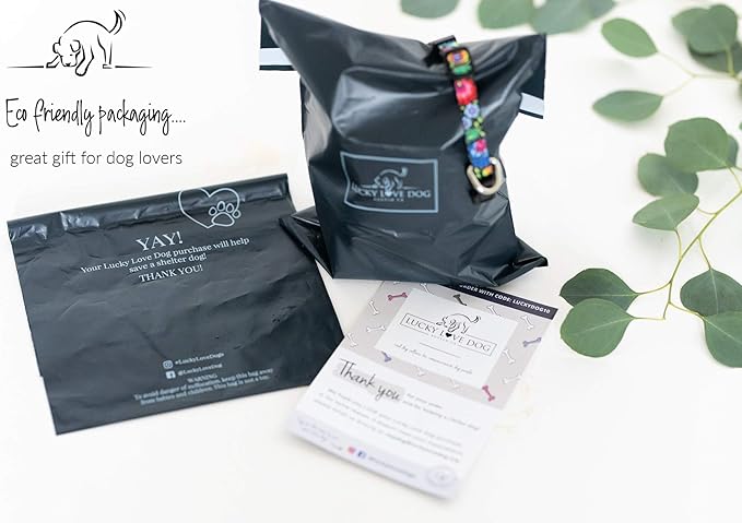 Lucky Love Dog - Adjustable Dog Collar and Leash Set with Easy Click Buckle for Medium Dogs, Durable, & Comfortable Collar for Male & Female Dogs, Puppies & Adult - Winterblue Combo, Medium