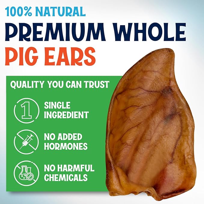 Whole Pig Ears for Dogs Large - 150 Pack Long Lasting Dog Chews – One Ingredient Delicious All Natural Flavor – Easy to Digest Dog Treats for Large Dogs - Great for Teeth and Gums