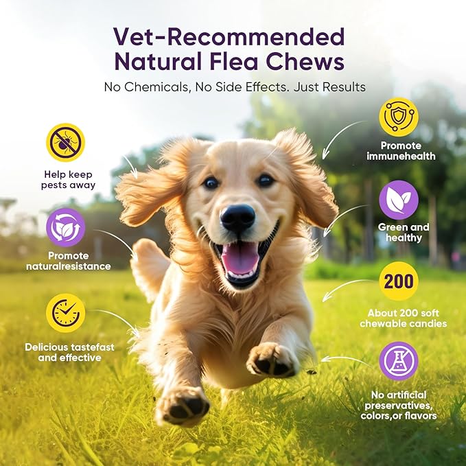 Dog Flea and Tick Treatment Chewable 200 Treatment Chews Natural Soft Chew Fleas Ticks Treatment Dog Oral Chewables Support Supplement Breeds and Ages Dogs Chicken Flavor