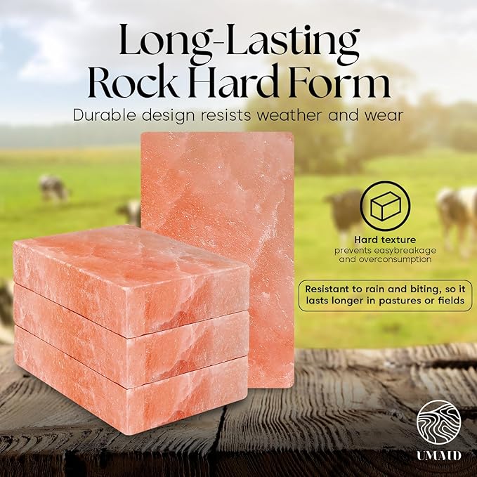 UMAID Himalayan Salt Block 4-Pack, 8x4x2 Inches – Natural Pink Mineral Block for Horses, Cows, Goats & Sheep – Long-Lasting Livestock Salt Supplement