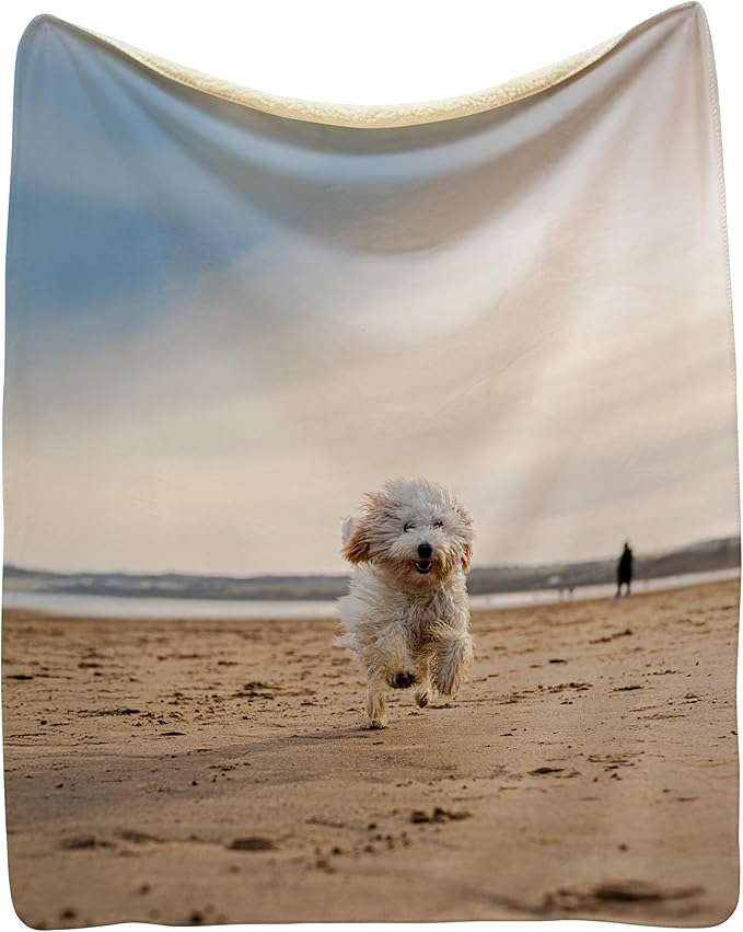Prints Next Day – Custom 50" x 60" Sherpa Pet Lightweight Blanket with Photo Upload - Gift for Dog or Cat Owners - Personalized Couch Throw - Printed in America
