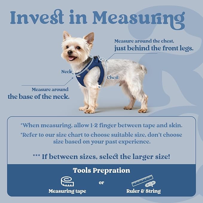 rabbitgoo Small Dog Harness, Step-in Soft Mesh Puppy Vest with Safety Buckle, Breathable Reflective Pet Harness for Small Sized Dogs, Navy Blue XS