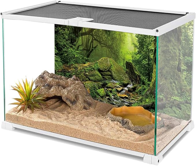 AWERT Tropical Forest Terrarium Background Stream Green Huge Tree Reptile Habitat Background Foggy Rainforest Aquarium Background 48x18 inches Durable Polyester Background