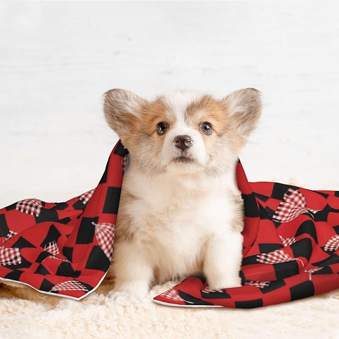 Reversible Plush Throw for Dogs and Cats, Red Black Buffalo Check Plaid Pattern, Double Sided Blanket with Nubby Dot Side and Sleek Side Ideal for Cuddling Nesting Security