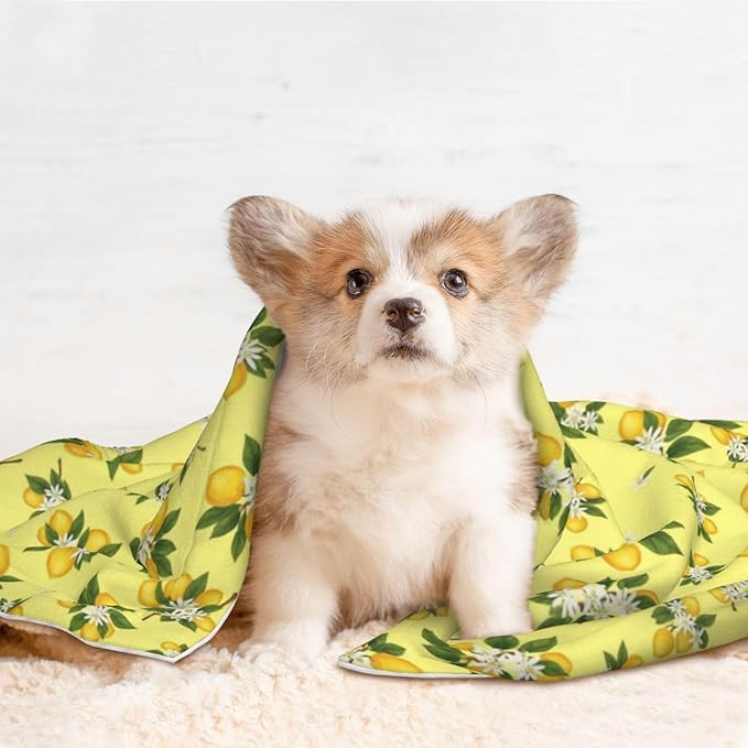Pet Blanket for Indoor Outdoor Use, Buds Ripe Fruits Lemons Flowers White, Two Sided Reversible Plush Mat with Bumpy Dot Texture for Patios Crates Portable Bed Companion