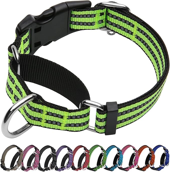 Martingale Dog Collar, Adjustable Nylon Reflective Collar with Buckle No Pull Dog Collar for Small Medium Large Dogs (Lime Green Medium)