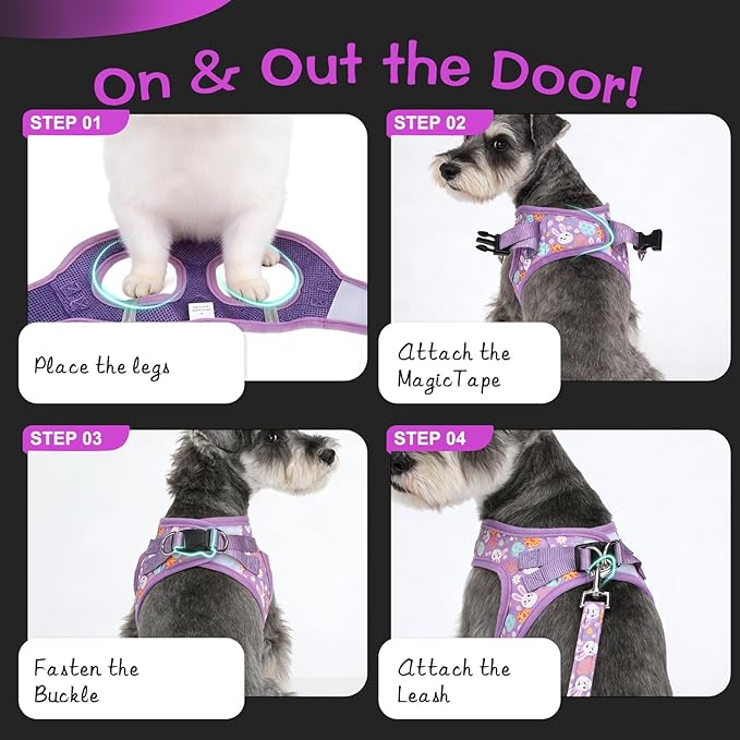 EXPAWLORER Easter Small Dog Harness - Dog Collar and Leash Set - Soft Mesh Padded Adjustable Step in Puppy Vest Harness No Pull, Reflective Escape Proof for Outdoor Walking, Bunny Egg S