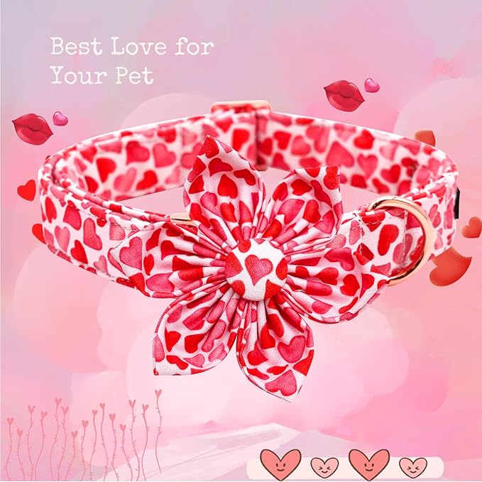 Lionheart glory Valentine's Day Dog Collar with Flower Dog Collars Red Hearts Dogs Collar with Bowtie for Small Dogs Spring Puppy Pet Collars Bows