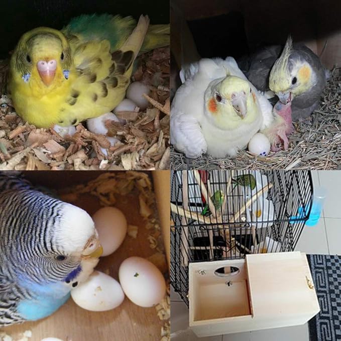 YJJKJ Wood Parakeet Nest Box Pet Bird House Parrot Breeding Mating Box Bird Cage Box for Lovebirds Cockatiel Parrotlets Budgerigar Parakeet (M)