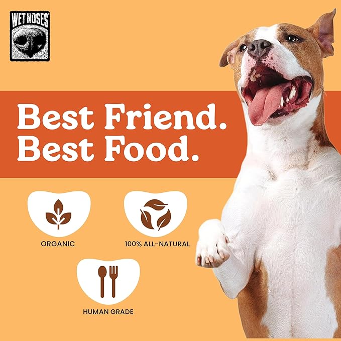 Wet Noses Organic Crunchy Dog Treats – All-Natural, Human-Grade, Non-GMO, Healthy Training & Delicious Snacks for Dogs, for All Dog Sizes & Breeds – Grain Free Pumpkin & Quinoa, 5lb (Single Pack)