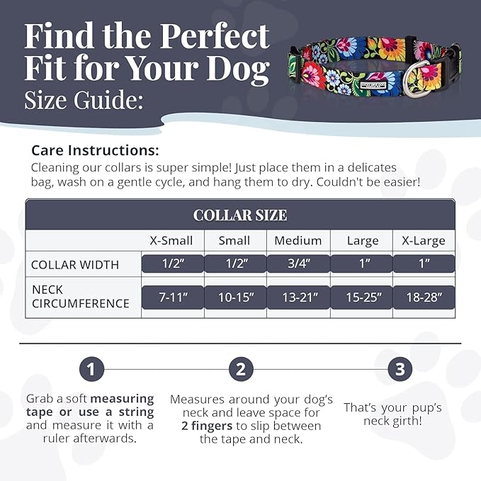 Lucky Love Dog - Easy Click Buckle Dog Collar with Leash Set Combo, Durable & Comfortable for Male & Female Dogs, Pet Collar for Large Dogs, Secure Fit - Lilian Combo, Large