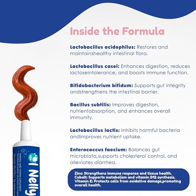 Ruminants Pre and Probiotic Paste (80g)- Pre and Probiotics with Vitamins and Minerals- 6 Strains and 8 Billion CFU- Immune and Gastro Health Support for All Ruminants: Bovines, Goats & More