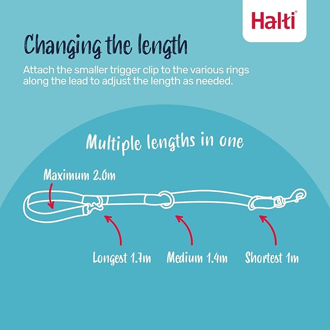 Halti Headcollar Size 3, Black & Halti Training Leash Size Large, Black Combination Pack - Stop Your Dog Pulling on the Leash. Adjustable, Lightweight with Padded Nose Band. Suitable for Medium Dogs