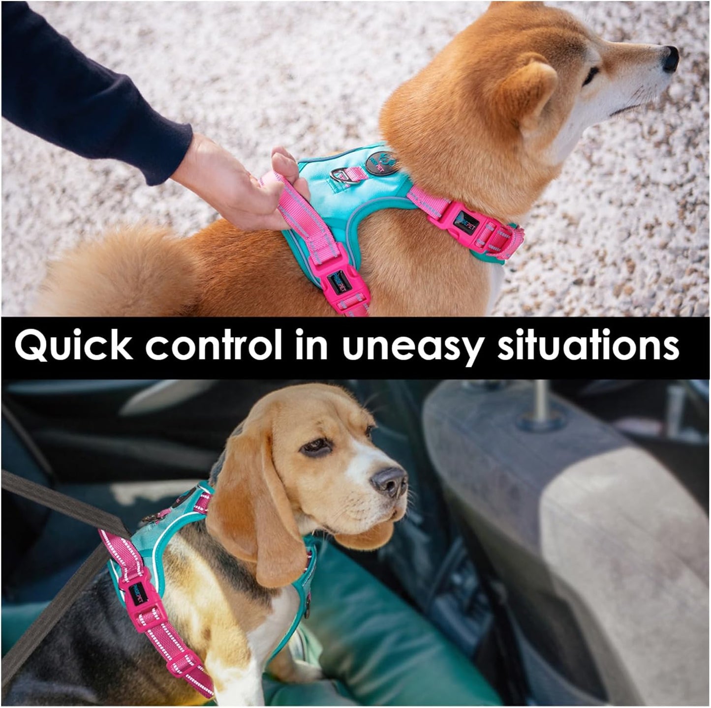 PHOEPET No Pull Dog Harness, Unique Colors Reflective Adjustable Dog Vest, with Soft Training Handle Metal Clips for Small Medium Large Dogs (Mint Green Base & Pink Straps,S)