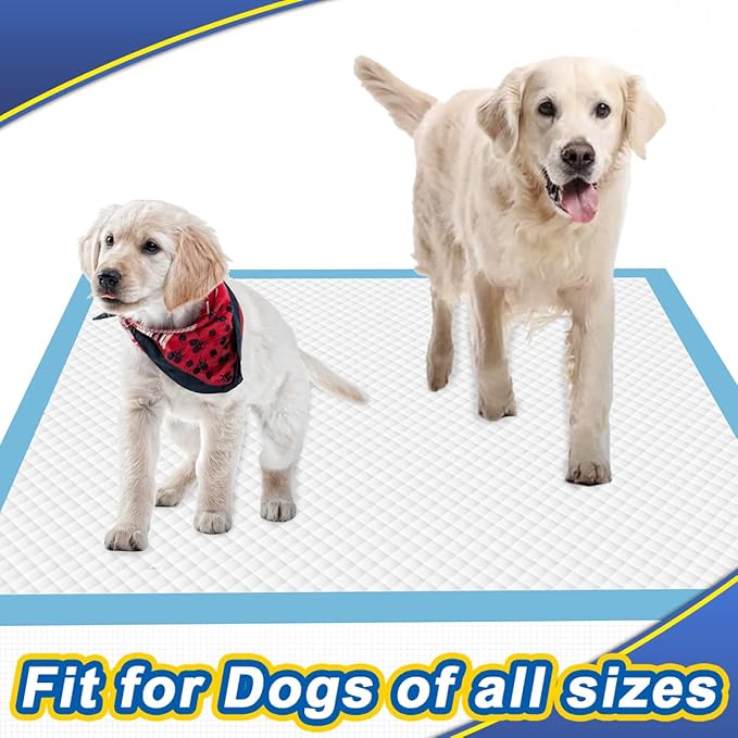 Dog Pee Pads Extra Large 80 Count, Thicken Dog Training Pads 30"x36", Puppy Pee Sheets XL for Indoor, Outdoor Use, Heavy Absorbent Disposable Underpads, Blue