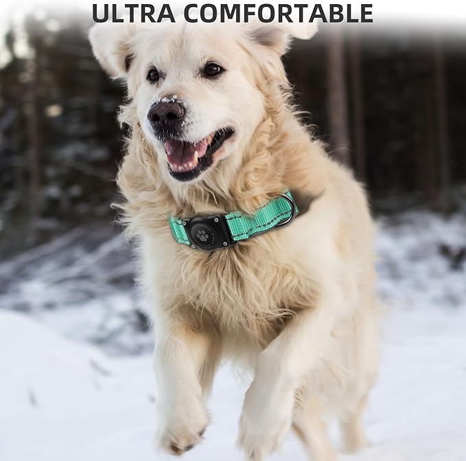 Upgraded AirTag Dog Collar, IP68 Waterproof Air Tag Dog Collar Holder, Reflective, Ultra-Durable, Comfortable Padded, Heavy Duty Dog Collars for Small Medium Large Dogs (Aqua, S)