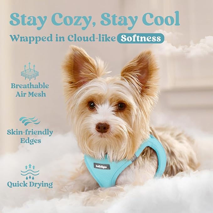 rabbitgoo Small Dog Harness, Step-in Soft Mesh Puppy Vest with Safety Buckle, Breathable Reflective Pet Harness for Small Medium Dogs, Mint Blue XL