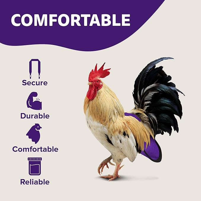 Hen Holster Wrap-Around Bird Diaper & Harness for Hens, Roosters, Ducks, Geese - with Removable Vinyl Liner, Adjustable Fit for Outdoor Adventures & Indoor Use - Easy to wear - XL, Purple