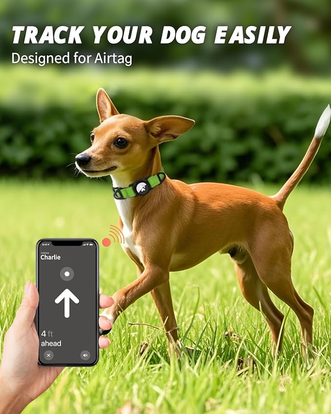 Joytale Airtag Dog Collar, Reflective Pet Collar with Waterproof AirTag Holder, Dual D-Rings, Soft Padded Adjustable for Small Dogs, Green, S