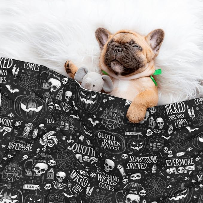 Double Sided Plush Pet Blanket with Cozy Dot Texture, Halloween Witchcraft Witch Pumpkin Spider Web Bat Raven Magic Board Spirit Skull Skeleton Vintage Black, Reversible for Dogs Cats on Couches Beds