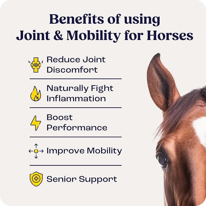 Summit Equine Joint & Mobility Bites Daily Supplement for Horses, Liposomal Delivery, Max Absorption, Vet Recommended, All-Natural Ingredients, 100% Drug-Free, Healthy Joints - 30 Bites