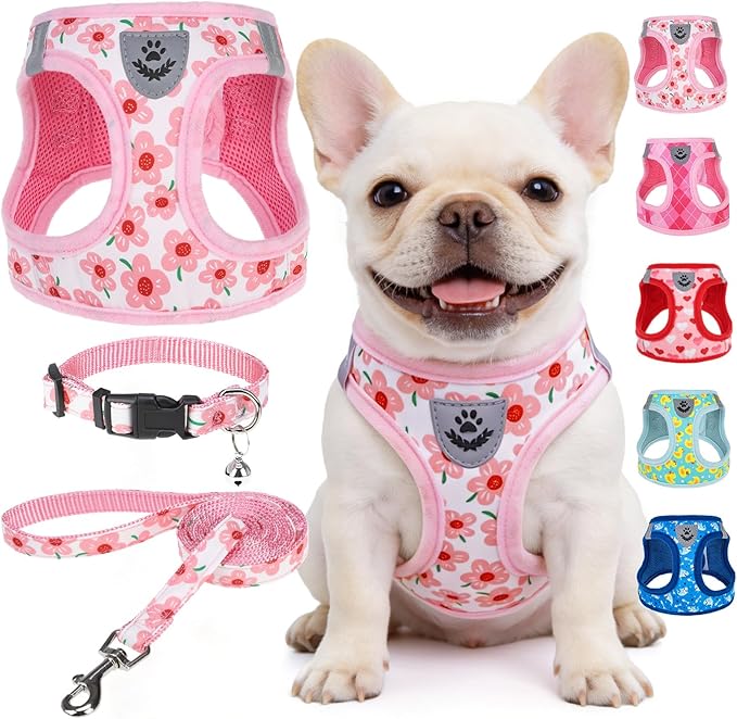 SCENEREAL Small Dog Harness and Leash Collar Set, Step in Soft Light Puppy Vest, Breathable Pet Harness for Small Sized Dogs, No Chock Reflective for Safe Outdoor Walking, Pink Flower M