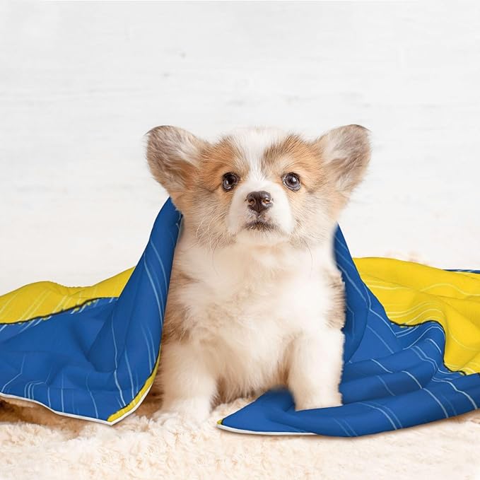 Double Sided Plush Pet Blanket with Cozy Dot Texture and Smooth Reverse, Abstract Ukraine Flag, Reversible Throw for Dogs Cats on Couches Beds Crates