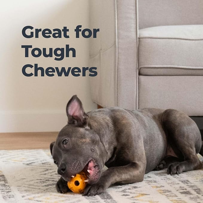Oxyfresh Dog Dental Chew Toy - Best Dog Teeth Cleaning Toy – A Simple Bite and Brush Toy That Helps Remove Plaque, Cleans Teeth & Freshens Breath Without Brushing - Large