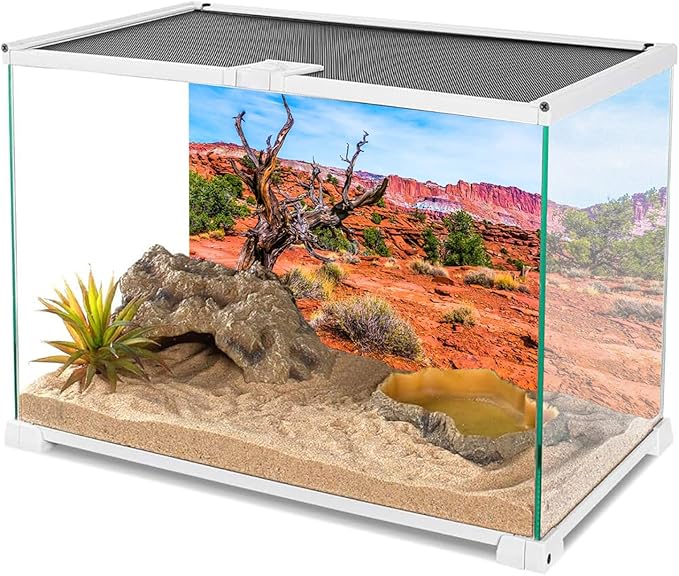 AWERT 48x20 inches Reptile Habitat Background Blue Sky Oasis Orange Desert Terrarium Background