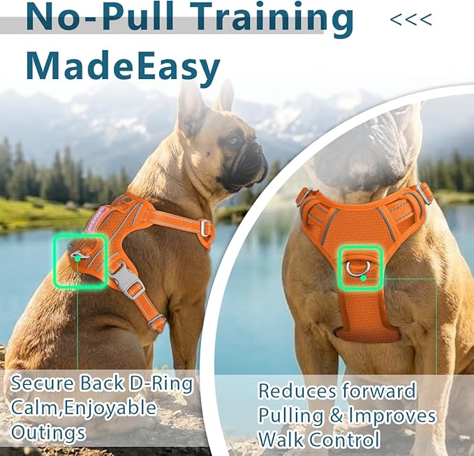 BARKBAY Dog Harness No Pull with ID Tag Pocket - Heavy Duty, Reflective, Easy Control for Large Dogs(Orange,M)
