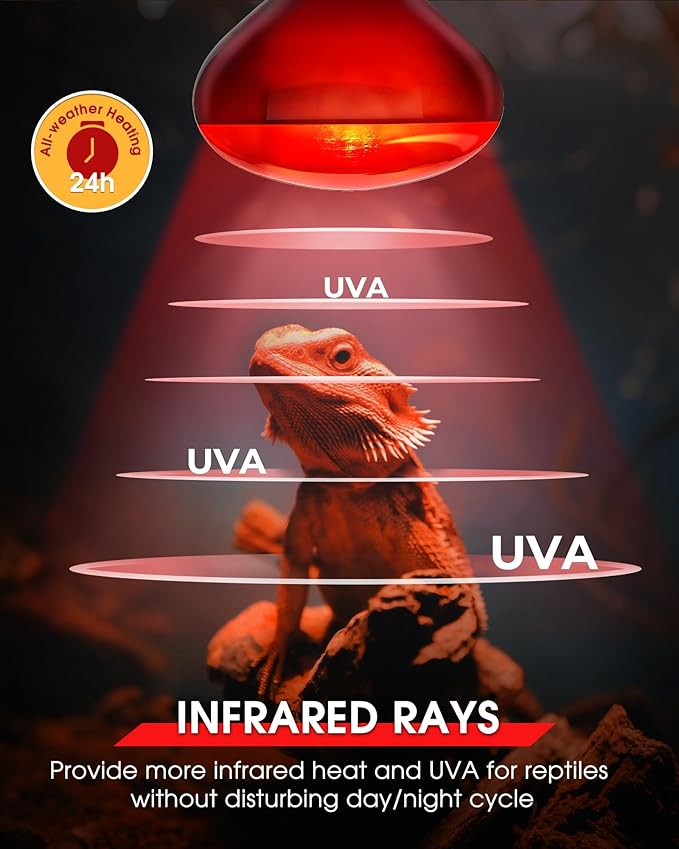 EvaStary 100W Infrared Heat Lamp Bulbs, 2 Pack UVA Reptile Basking Spot Light for Reptiles, Red Heat Lamp Bulb for Bearded Dragon,Turtle,Snake, Chickens, Pets