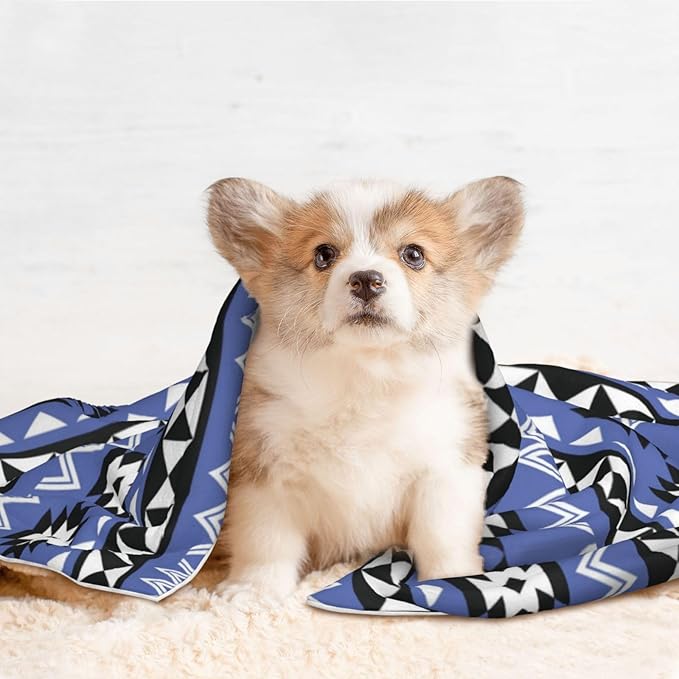 Reversible Plush Dot Pet Blanket for Dogs and Cats, Tribal Ethnic Aztec Native American Decor, Ultra Soft Two Sided Design with Warm Fuzzy Side and Smooth Side for Comfort