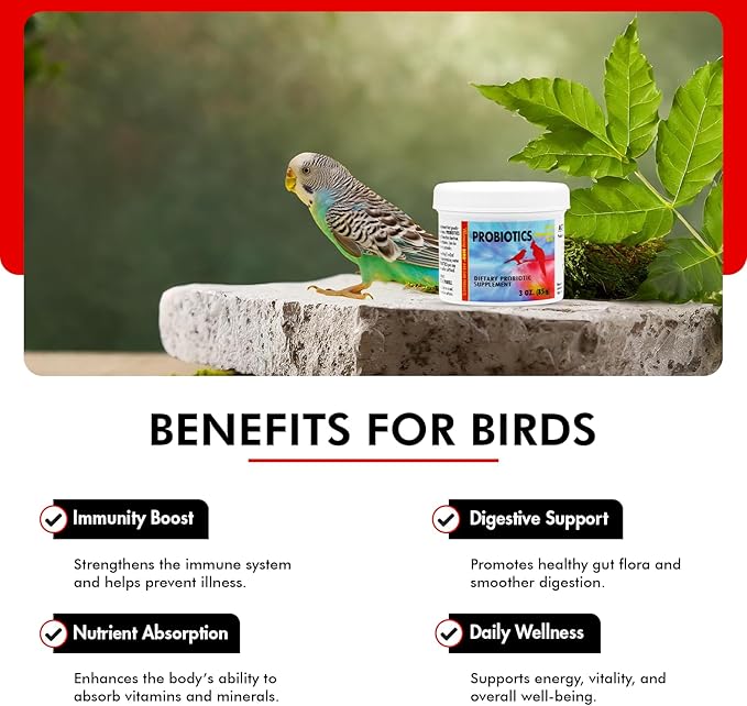 Morning Bird Probiotics for Birds 3 oz – Digestive Health Supplement Supporting Gut Balance, Nutrient Absorption & Immune Support – Easy Mix Powder Supplement for All Bird Species
