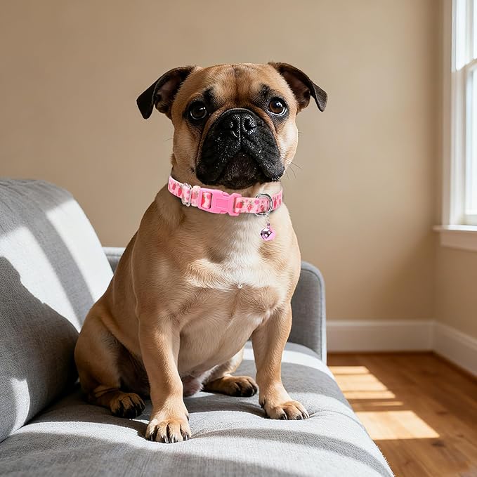 XS Dog Collar with Bell - Durable Nylon Collar for Small Breeds,Adjustable Cute Fruit Pattern Collar for Chihuahua Pomeranian Yorkie, Heavy-Duty for Active Puppies（Pink Strawberry XS）
