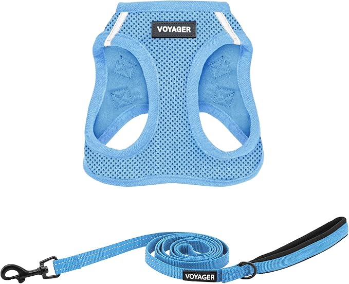 Best Pet Supplies Voyager Step-in Air All Weather Mesh Harness and Reflective Dog 5ft Leash Combo with Neoprene Handle, for Small, Medium and Large Breed Puppies - Set (Baby Blue), Small