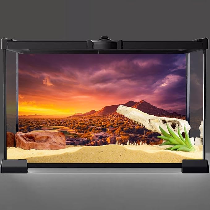 AWERT 30x12 inches Sun and Desert Terrarium Background Mountain Oasis Gobi Reptile Habitat Background Vinyl